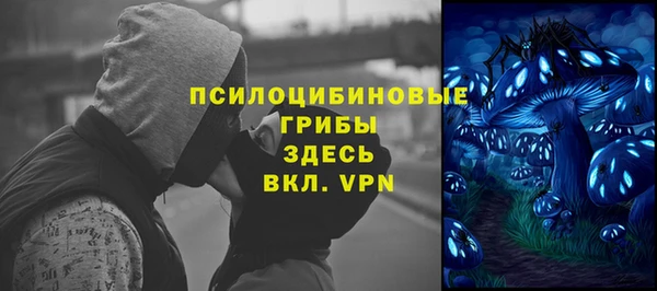 гидра Новокубанск