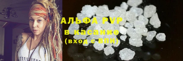 прущие крисы Новозыбков