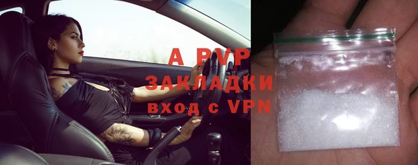 соль ск Новодвинск