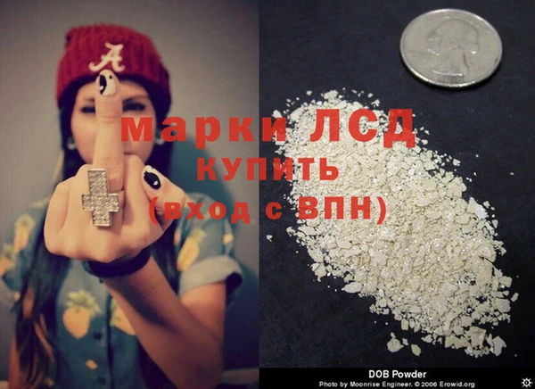 прущие крисы Новозыбков