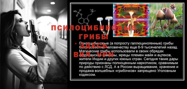 гидра Новокубанск