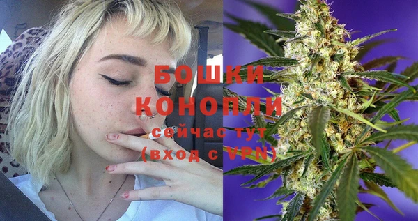 прущие крисы Новозыбков