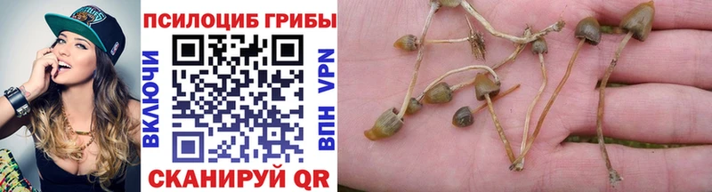 Псилоцибиновые грибы мицелий  Волгоград 