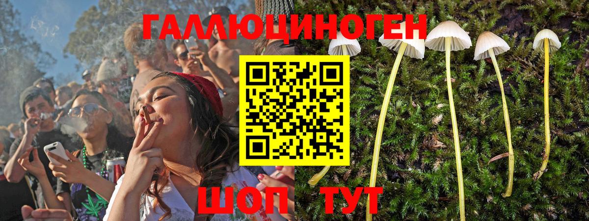 Галлюциногенные грибы Magic Shrooms  Вход с VPN  Галлюциногенные грибы Cubensis  Волгоград 